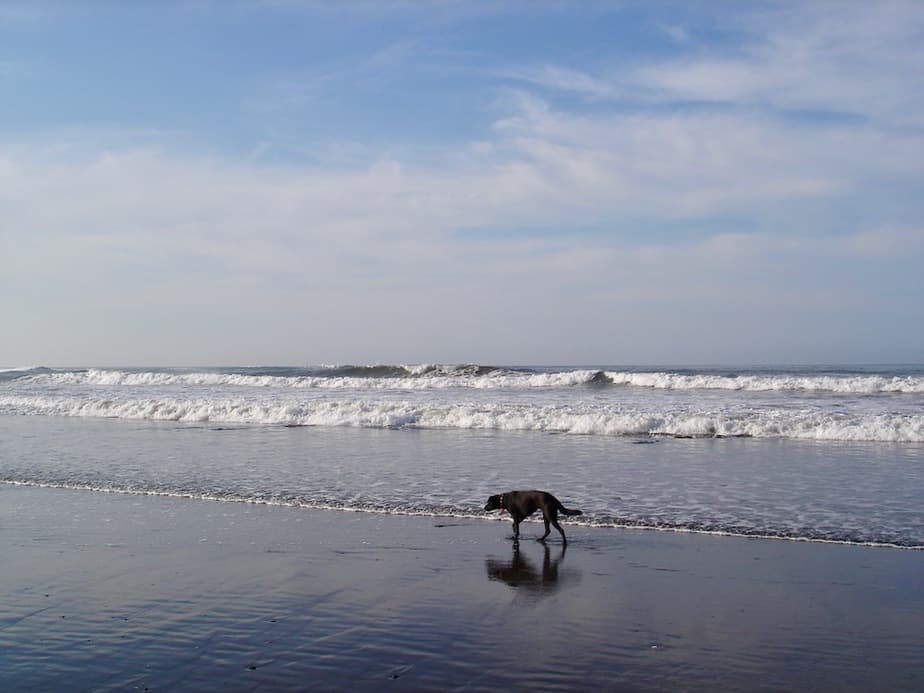 High waves at Balian Beach in West Bali