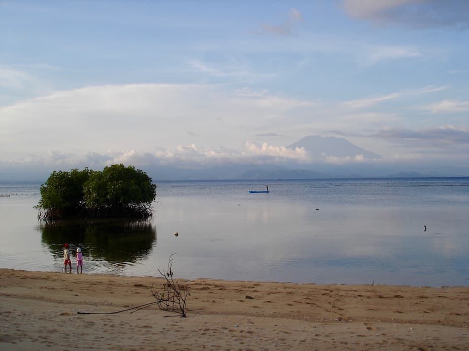 mangroves on Nusa Lembongan