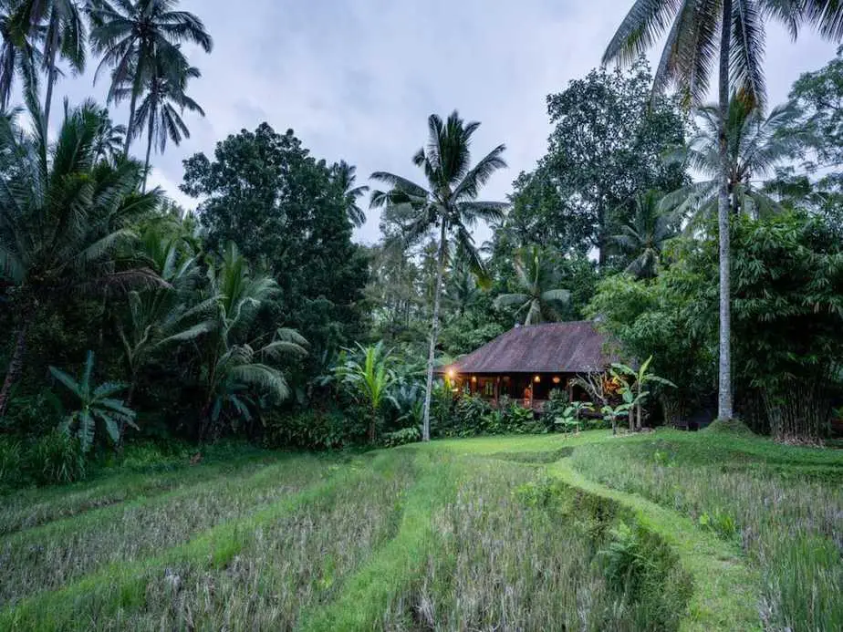 view on the Bali Ecostay 