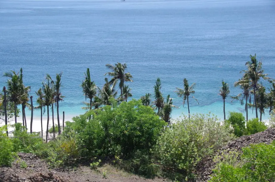 Palmtrees and green colors at Bias Tugel beach in Padangbai