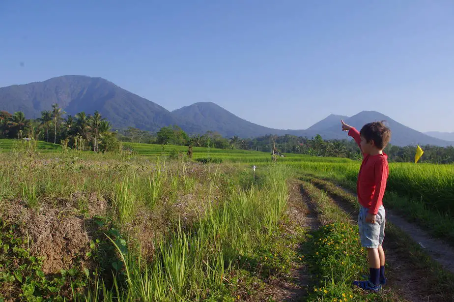 our little boy pointing to Mount Batukaru