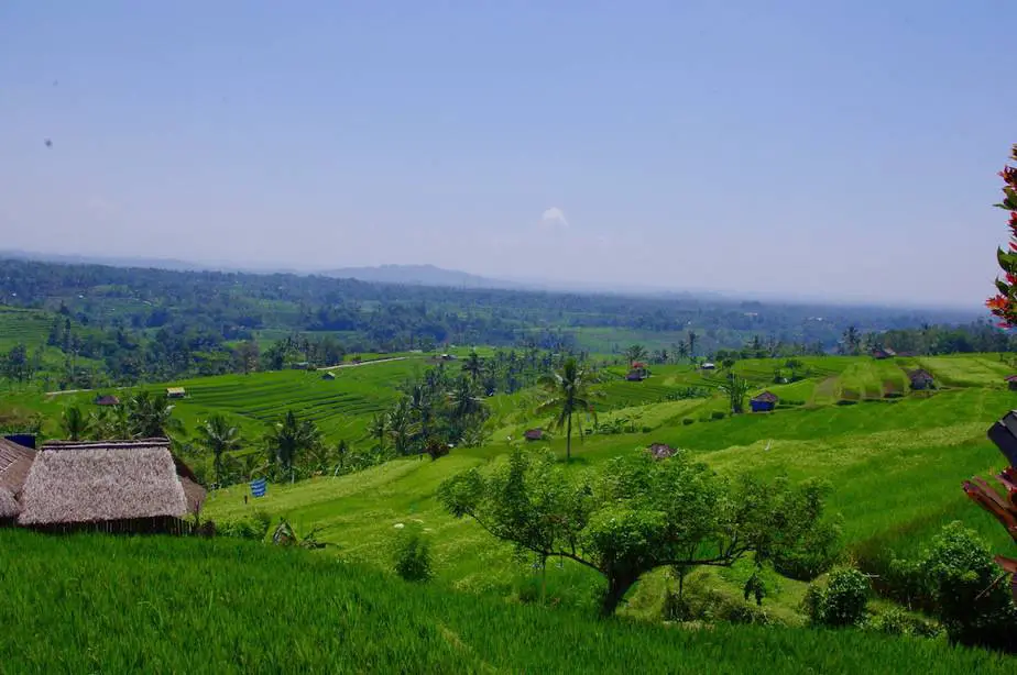 view on the Jatiluwih rice terraces