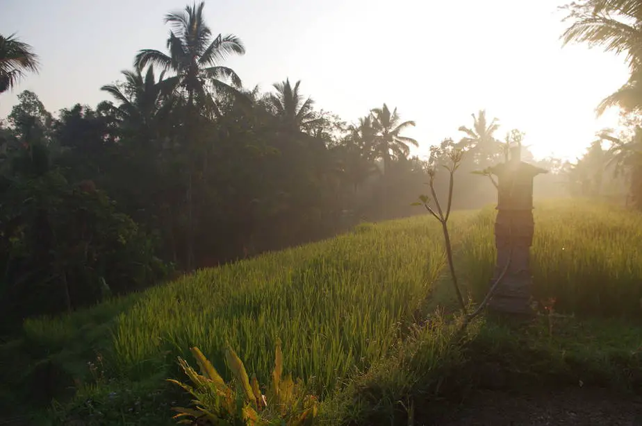 sunrise at the Sari Devi Ecolodge in Bali