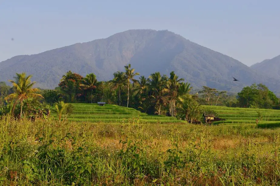 clear skies at Mount Batukaru in Bali