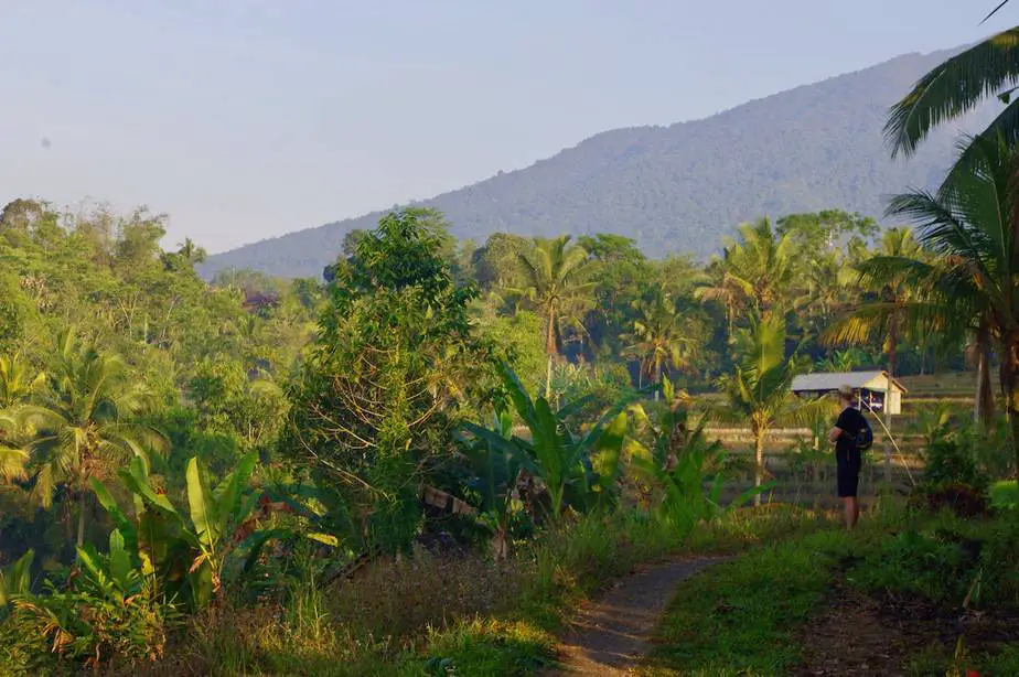 early in the morning hike through the rice fields at Wongayagede in Bali