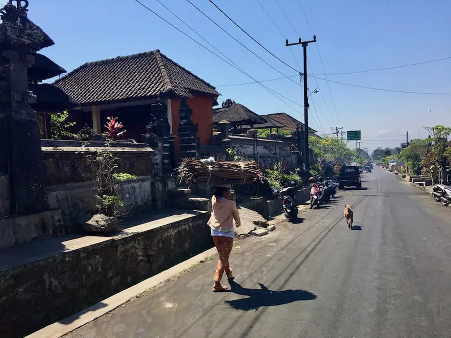 Balinese woman walking with wood on her head in Wongayagede