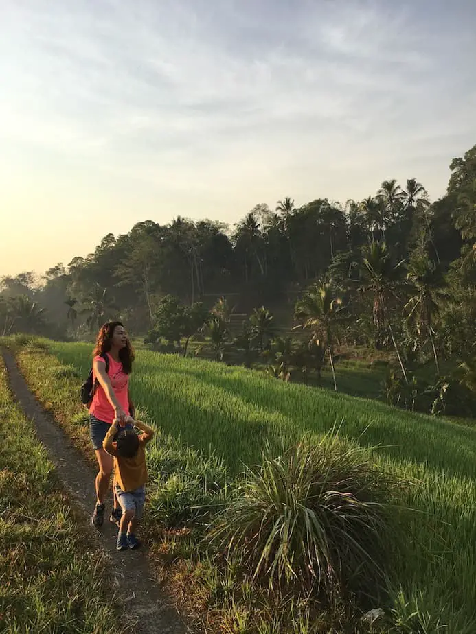 sunrise at the rice fields of Wongayagede