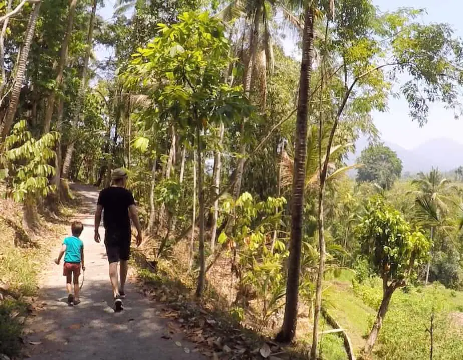 walking in the dry season in Bali