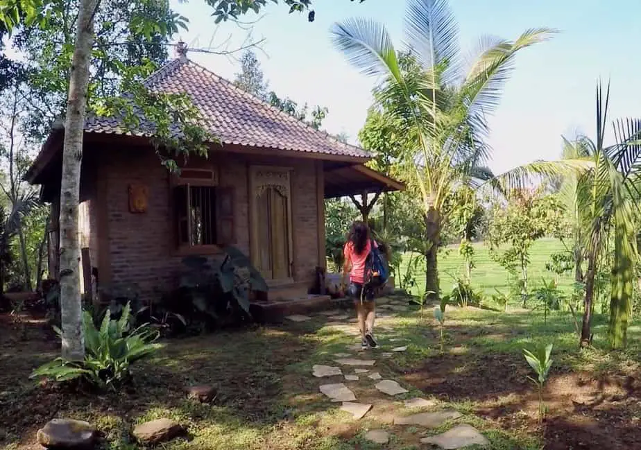 rice field bungalow at the Sari Devi Ecolodge