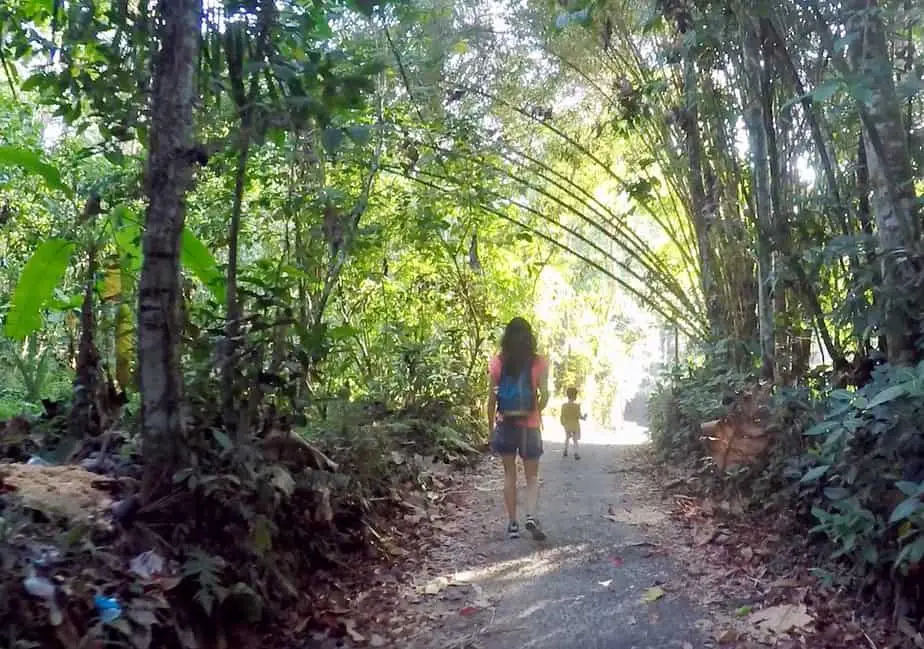 walking around the forest in Wongayagede village in Bali