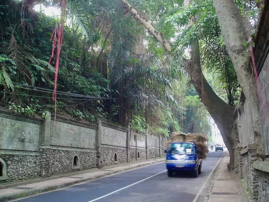 road from ubud to campuhan