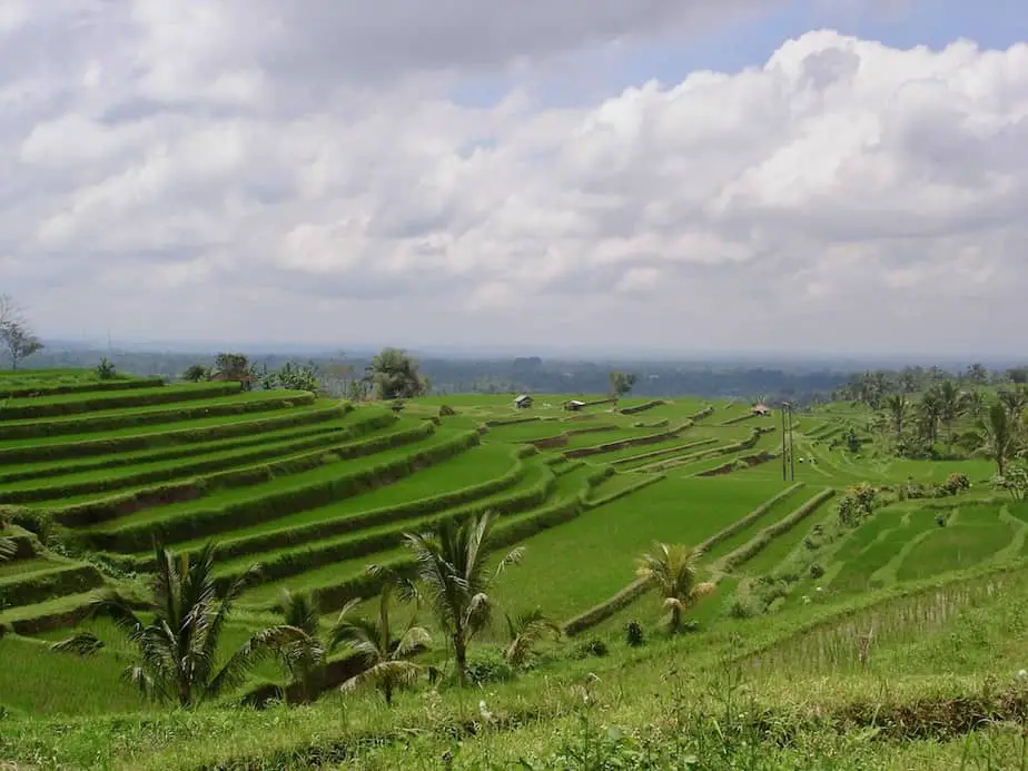 unesco heritage site of the Jatiluwih rice fields in Bali