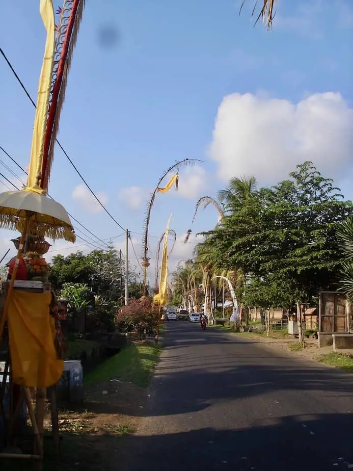 penjor bamboo poles on the side of the road in West bali