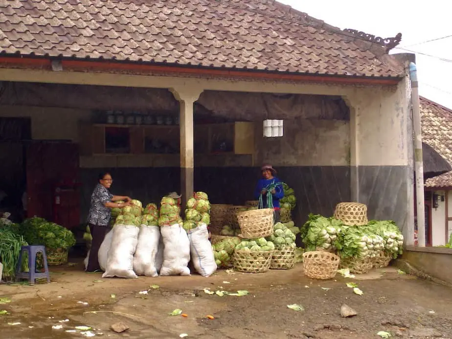 Balinese woman selling vegetables in Pacung