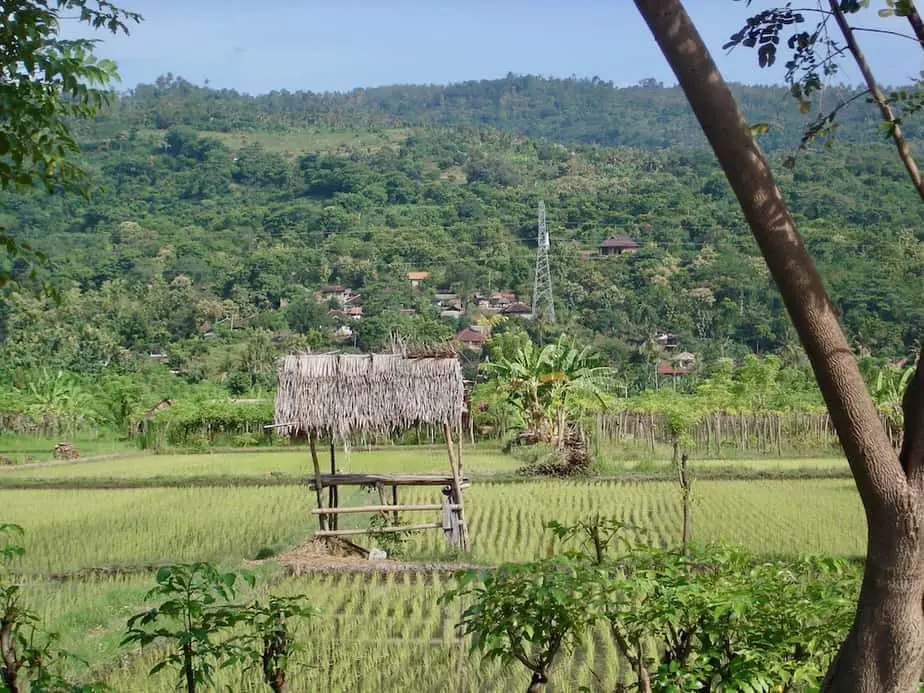 little hut in the rice fields for the farmer to sit in the shade