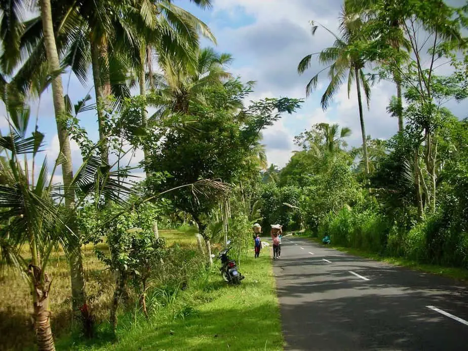 final stretch of this route before entering Singaraja