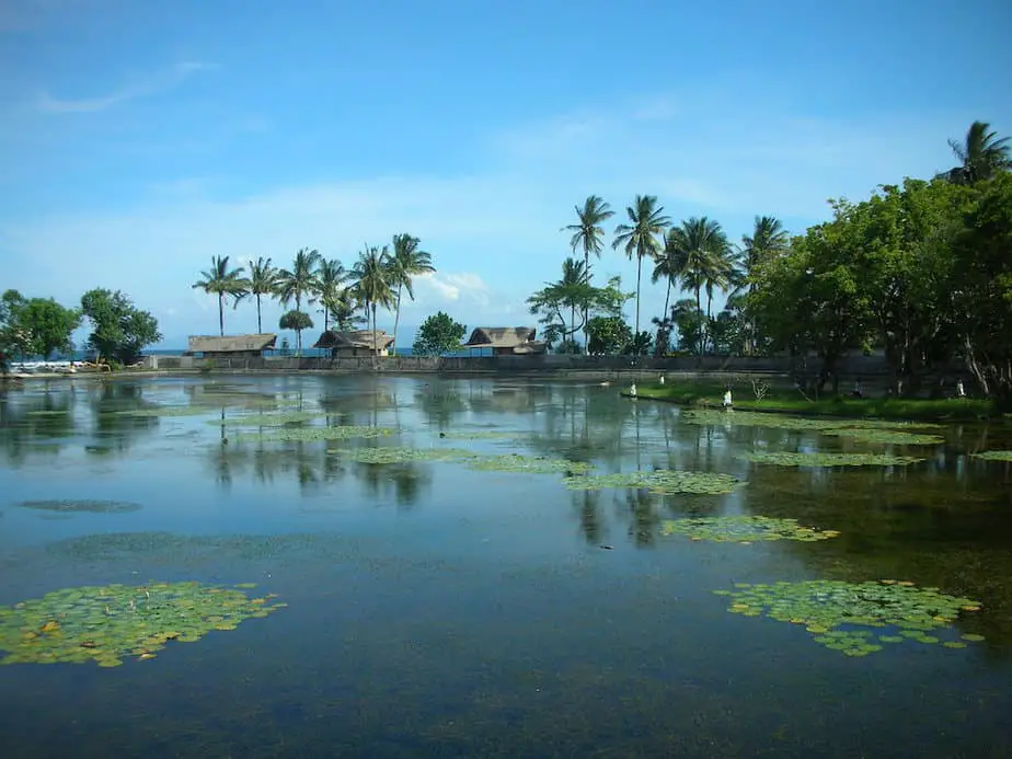 the lotus lagoon in the center of Candidasa Beach