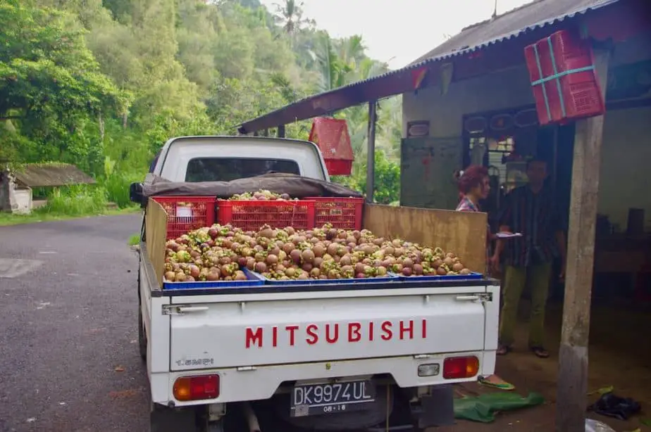 Manggis fruit for sell on the route from selat to manggis in east bali