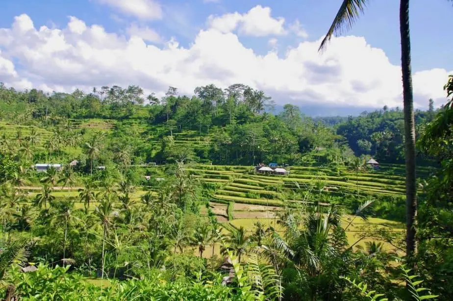 Balinese ricefields route in Rendang