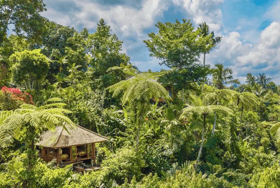 eco accommodation at the Sarinbuana Eco Lodge in Batukaru