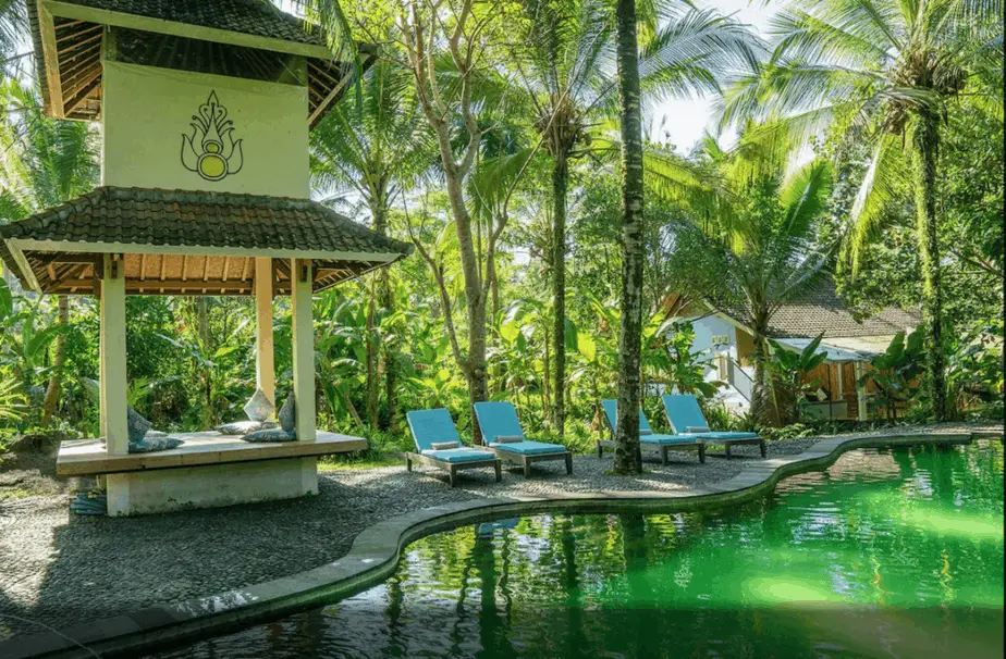 swimming pool under the palm trees at the Darmada eco resort in Sidemen, East Bali