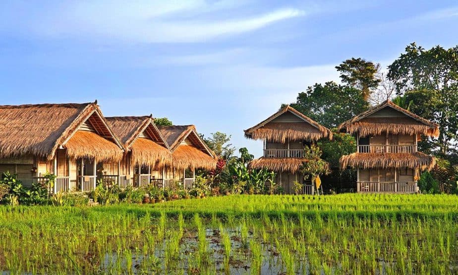rice fields at the Bali Silent Retreat in Penatahan Bedugul