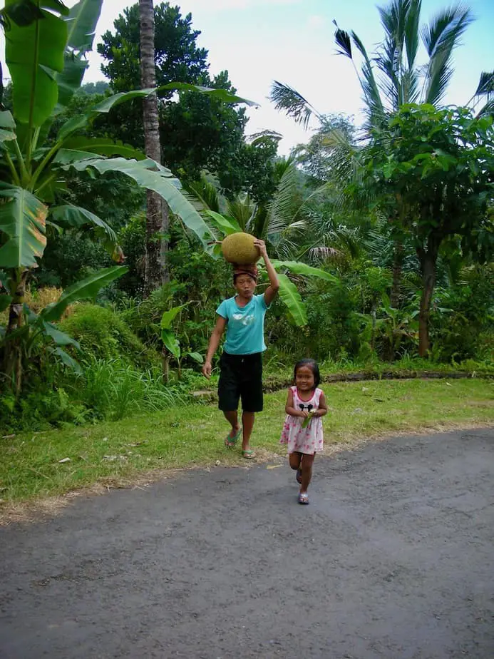 Balinese woman carrying jack fruit on her head in East Bali