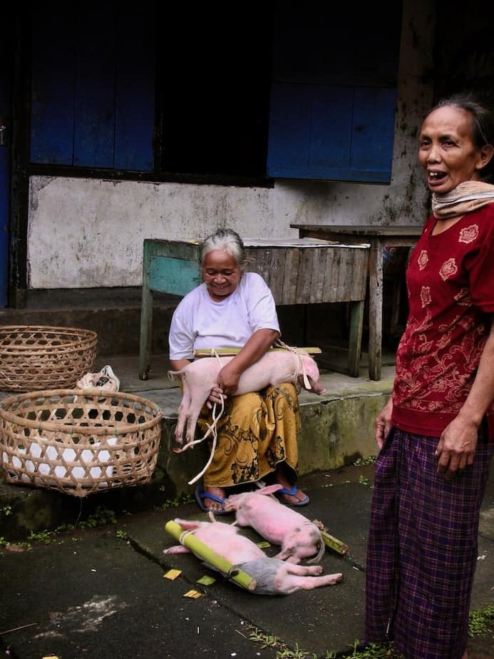 Balinese woman in a traditional village preparing suckling pig