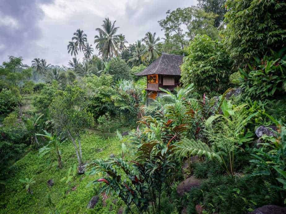 lush tropical garden at the Bali Eco Stay in Desa Gunung Salak