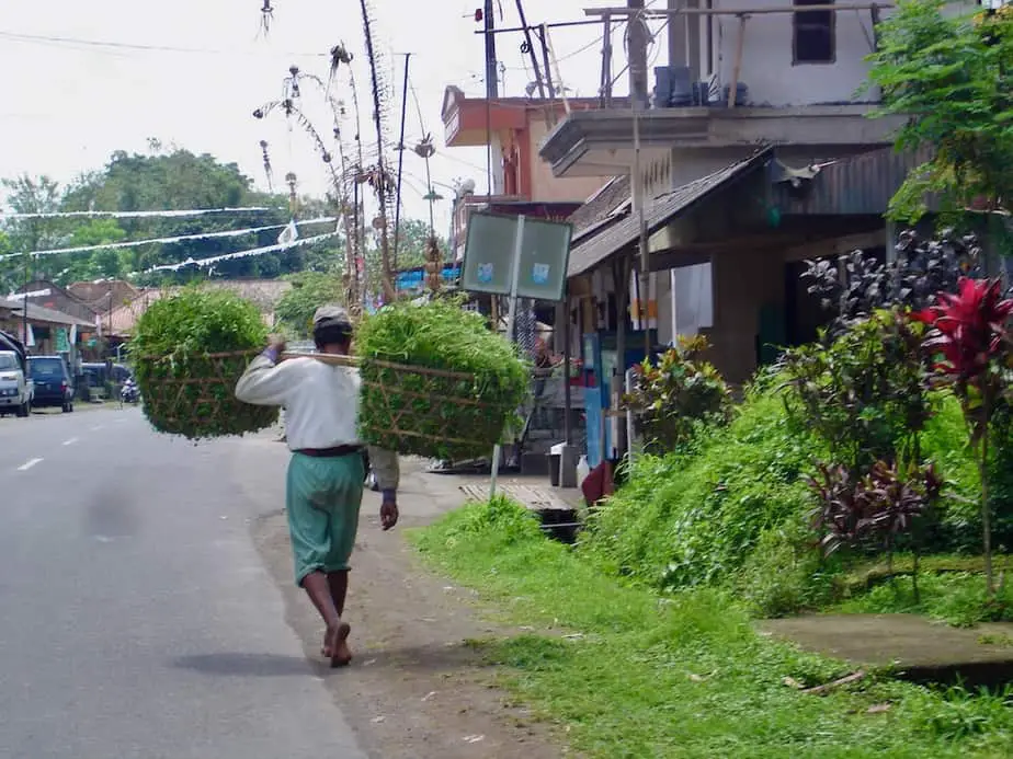 carrying a heavy load in Bali