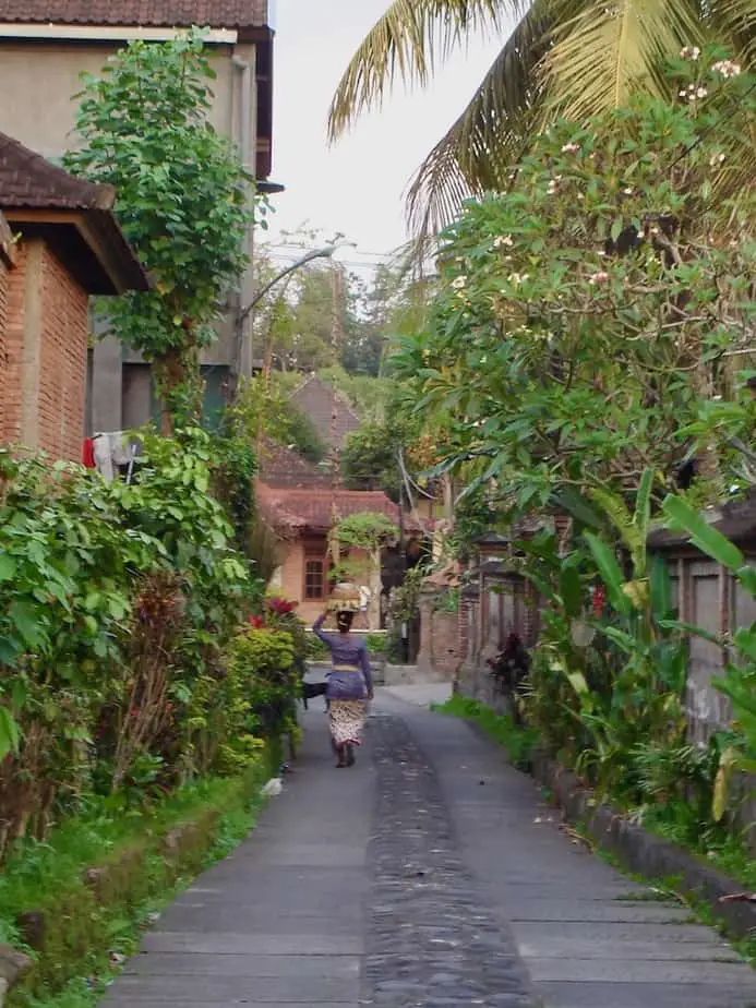 homestay and mid range accommodation in the Ubud village center