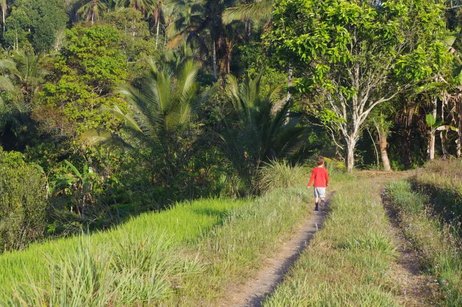 eco accommodations in Batukaru have wonderful hiking trails nearby