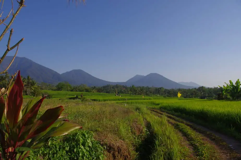 wonderful hiking possibilities in the Batukaru area