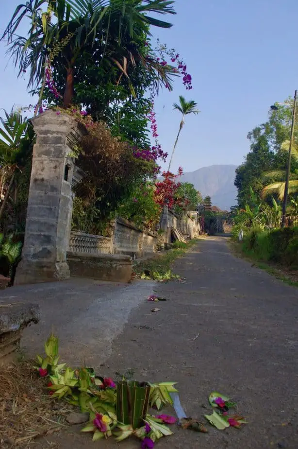 backroad in Wongayagede village with views on Mount Batukaru
