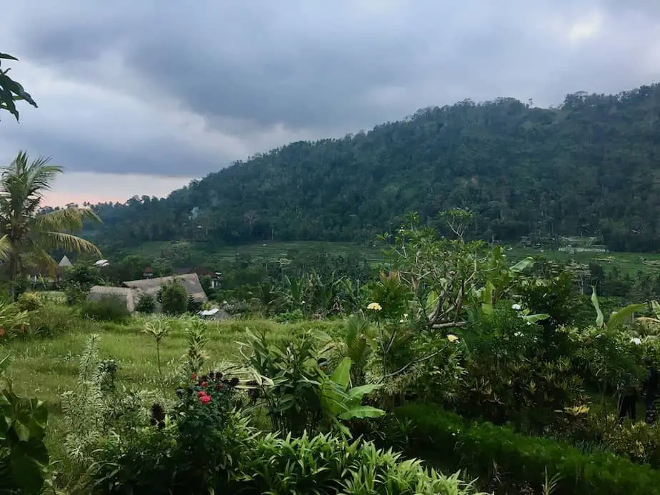 lush green garden at one of the eco accommodation in Bali