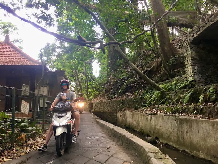 rent a motorbike in Ubud  and follow the road through the Monkey Forest