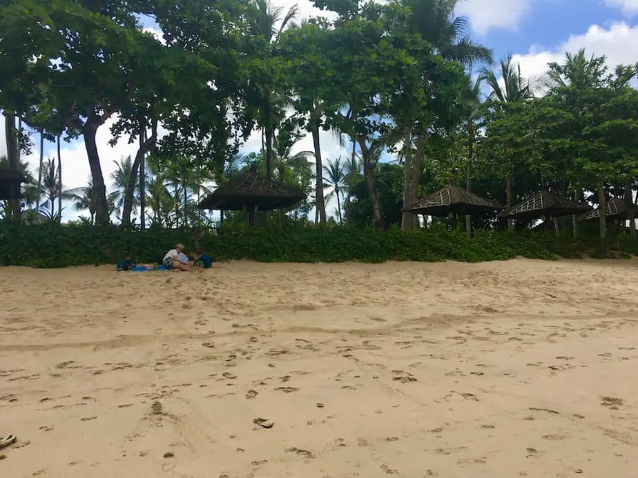 enjoy the shade under the trees in front of the intercontinental hotel at jimbaran beach