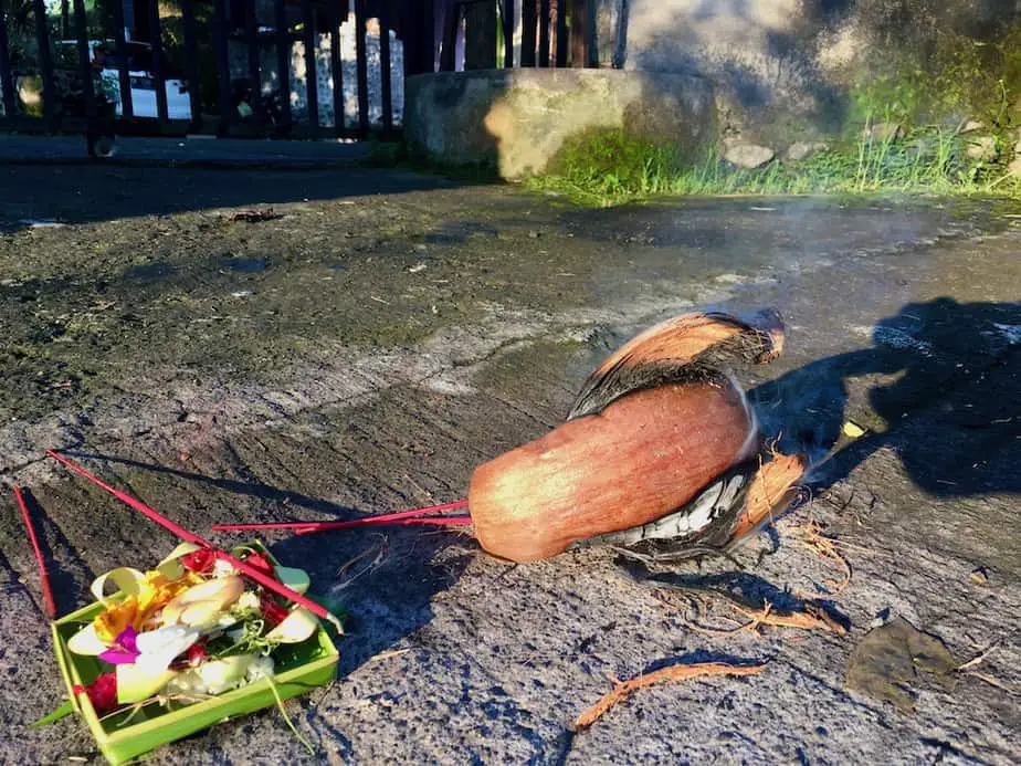 daily offerings in bali